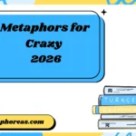 Metaphors for Crazy